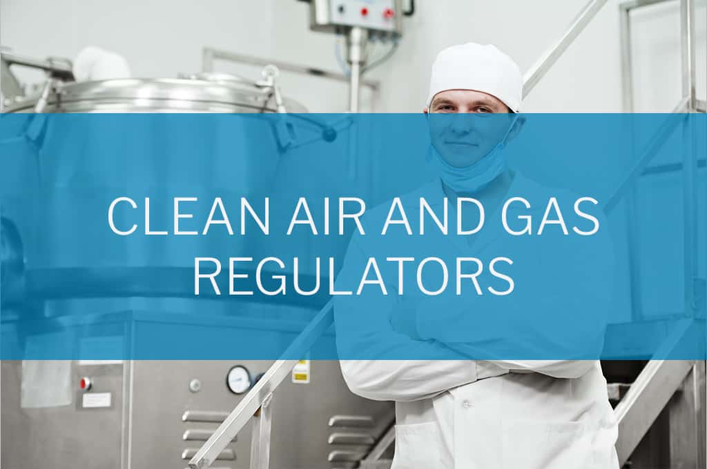 An Overview of Clean Air and Gas Regulators Steriflow Valve