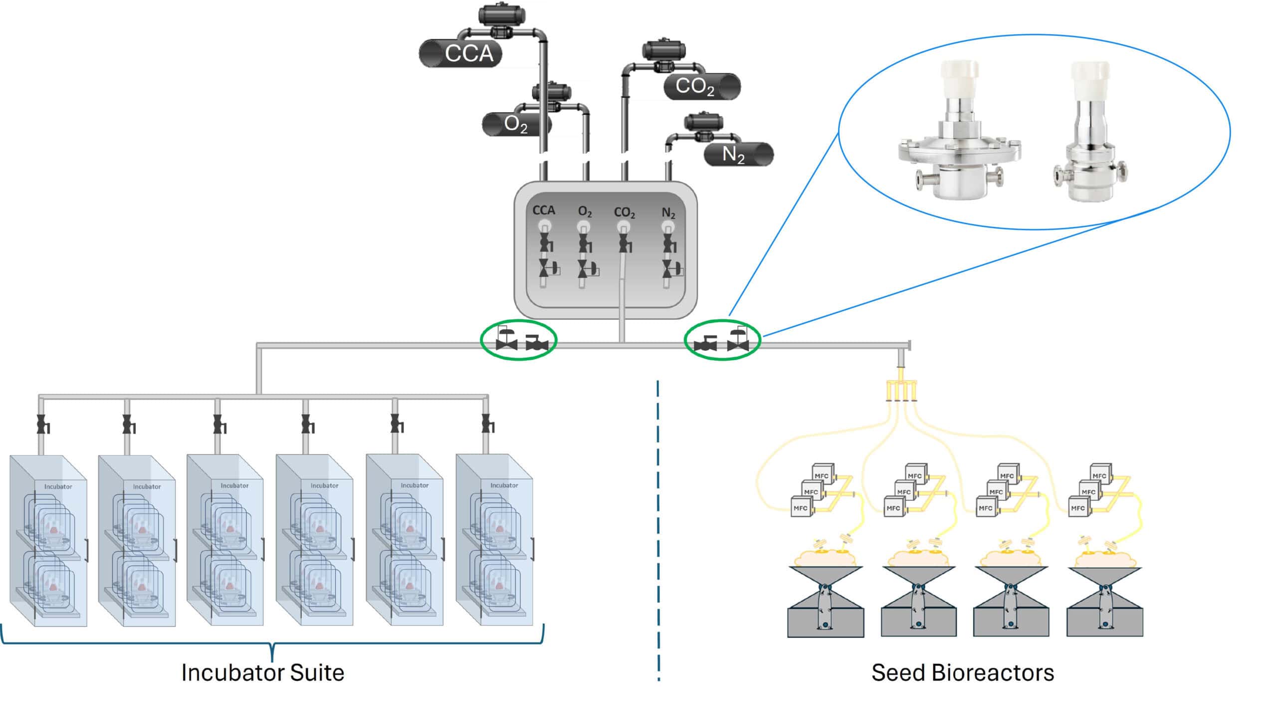 schematic of how to properly determine number of PRVs required for cell culture gas feed