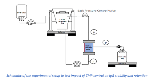 Advances in TMP