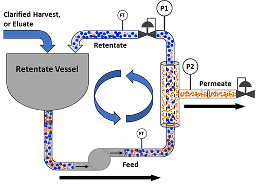 Tangential Flow Filtration