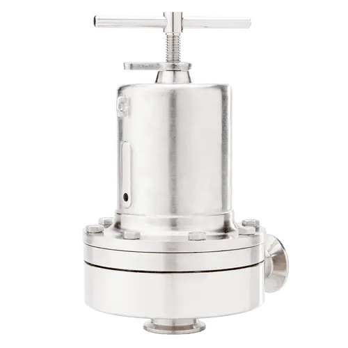 Picture of Sanitary Back Pressure Regulator